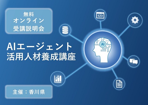 動画画像